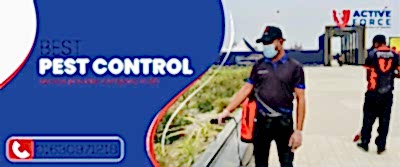 Best pest control service provider company in BD | Active Force